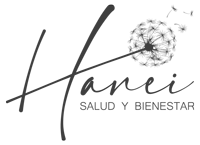 Hanei Logo